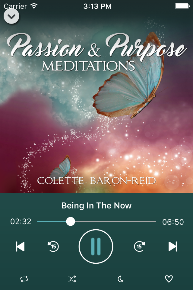 Passion and Purpose Meditations by Colette Baron-Reid
