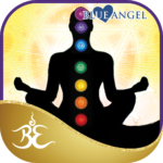 Chakra Insight Oracle app icon