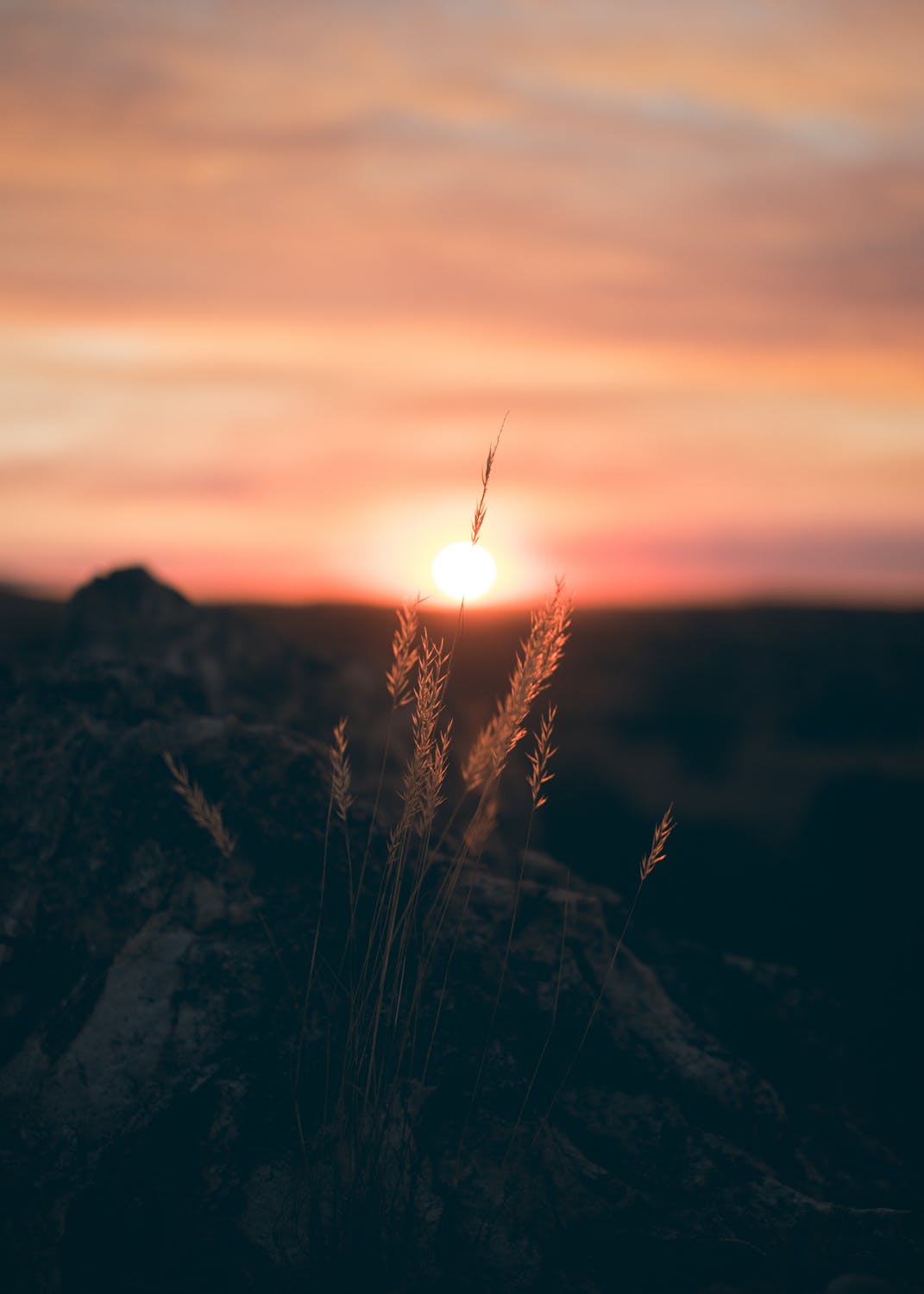 I am grateful for NEW BEGINNINGS!