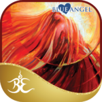 Journey of Love Oracle app icon