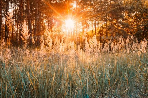 Autumn Equinox & Seasonal Rituals