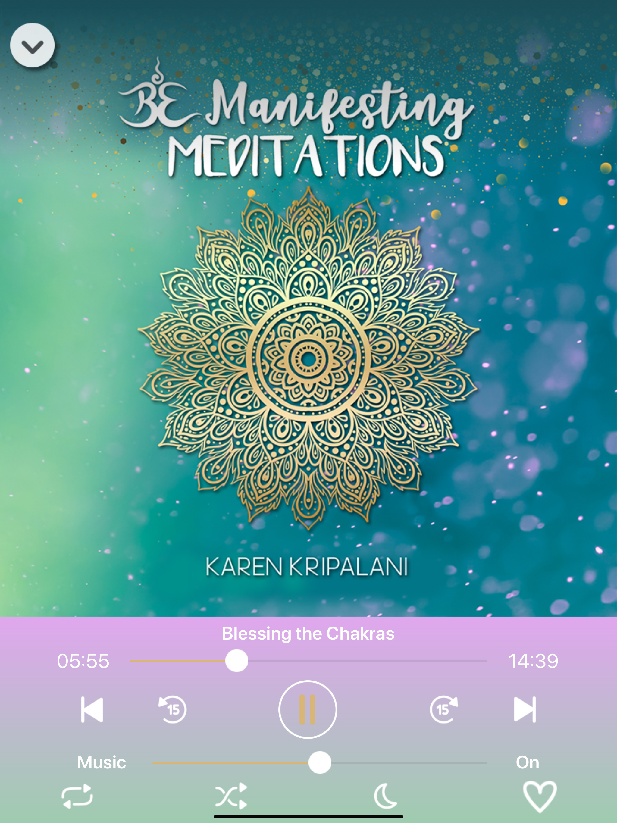 Manifesting Meditations by Karen Kripalani