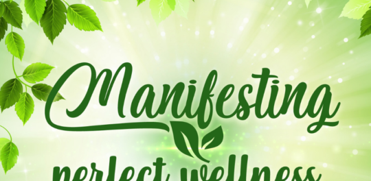 Manifesting Perfect Wellness App Artwork