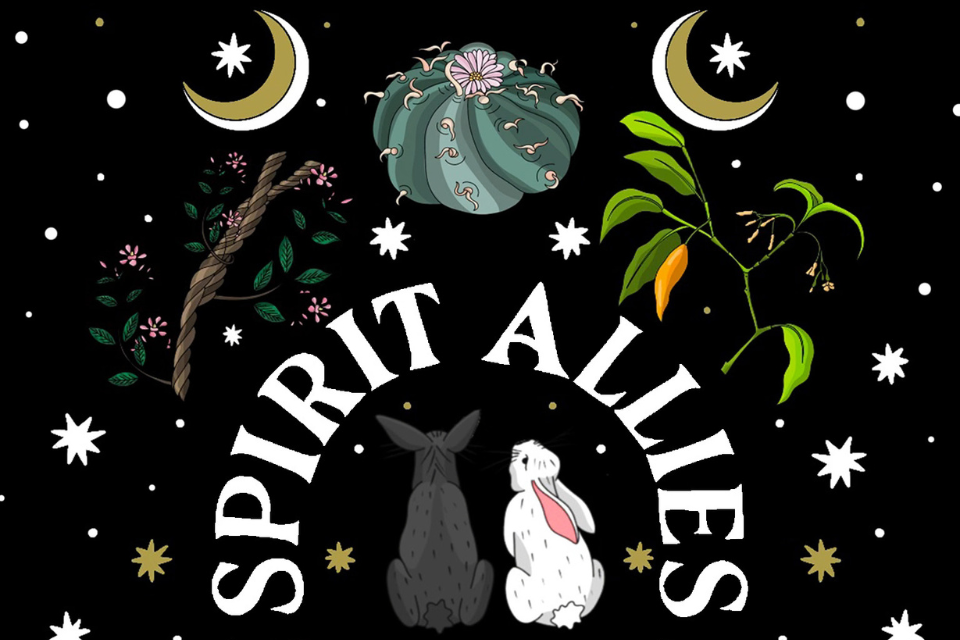 Spirit Allies Oracle App Artwork